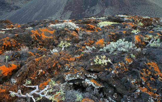El Hierro&apos;s colourful volcanic landscapes