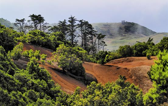 Diverse walks through changing landscape