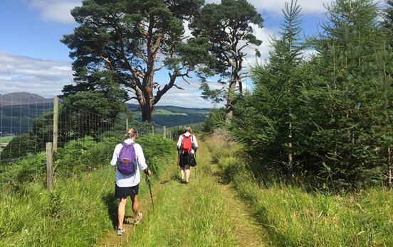 In the hills en route to Aberfeldy