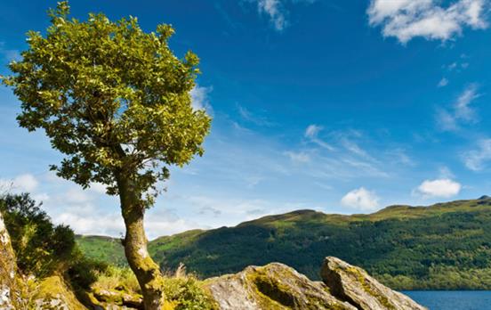 Idyllic lochside scenery