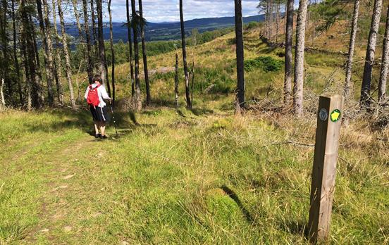 In the hills of Perthshire on the way to Aberfeldy