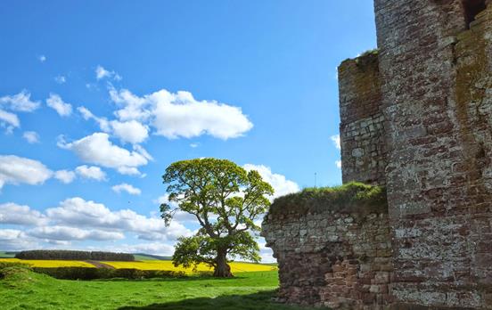 A sunny day on St Cuthberts Way