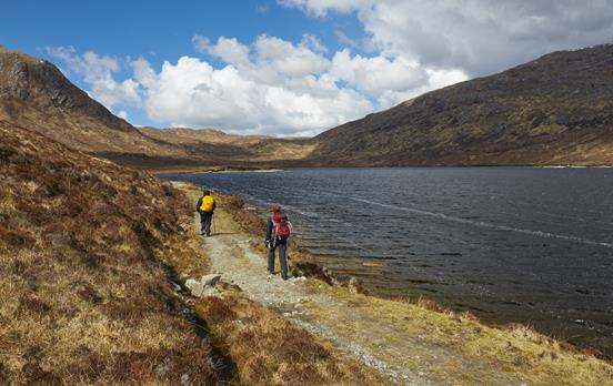 Walkers on Harris