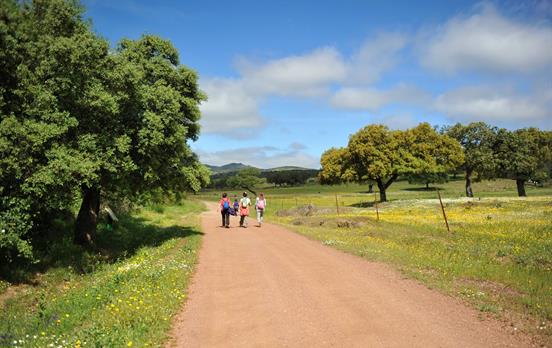 Enjoy easy walking down peaceful country lanes