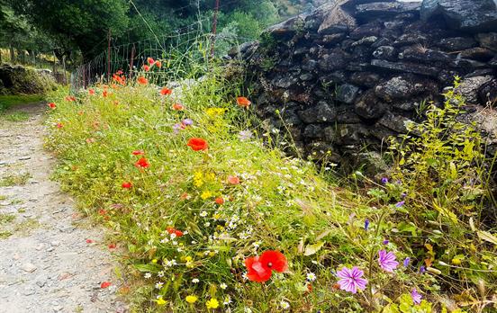 Walk on quiet mule tracks and cobbled paths