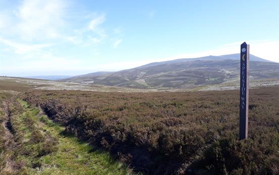 Follow the Speyside Way markers along the route