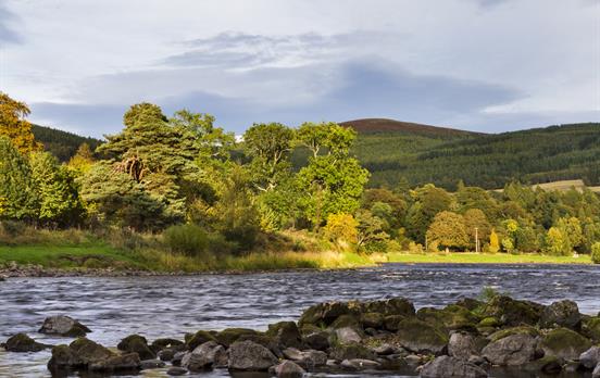 The lust forest around Craigellachie