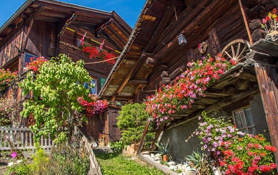 Typische schweizer Chalets