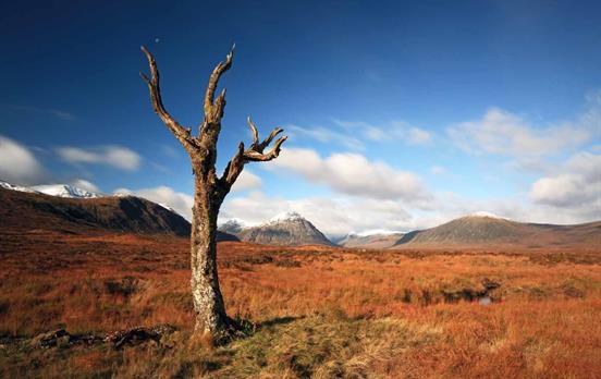 Rannoch Moor