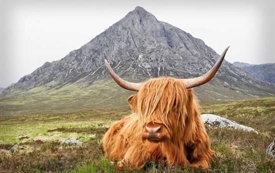 Der West Highland Way - Buachaille Etive Mor