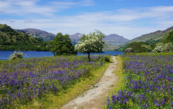 West Highland Way in spring time