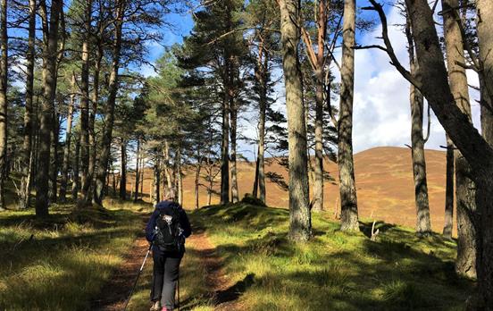 walking the Banvie Burn trail from Blair Atholl