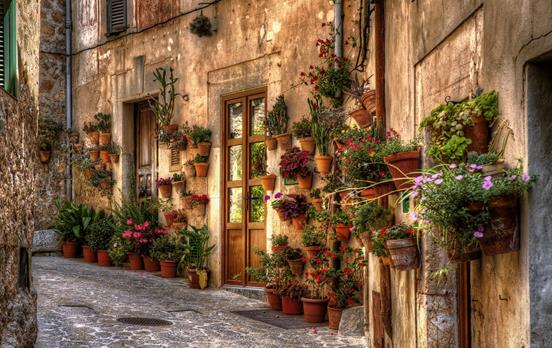 The village of Valldemossa