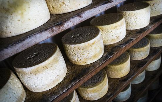 Savour the delicacies of the region