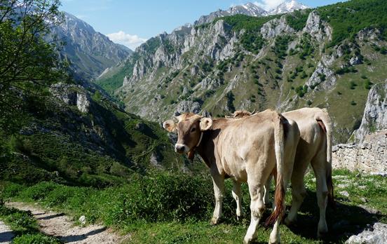 Enjoy the peace and quiet of rural Spain