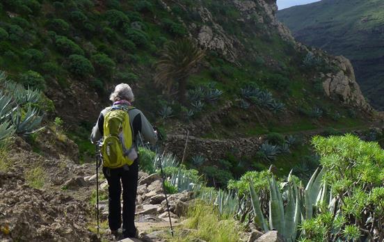 Great walking on La Gomera