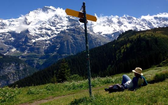 Take a break and admire the view