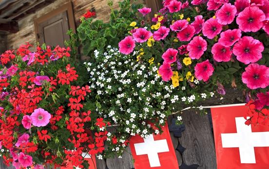 Swiss flower boxes