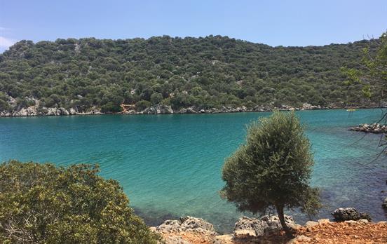 Blue Seas, for a swim
