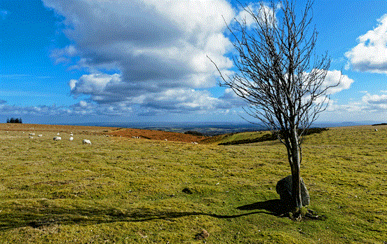 Welsh Marches