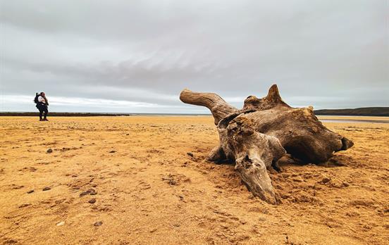Freshwater West Beach
