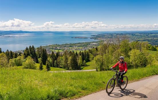 Cyclist on Lake Constance