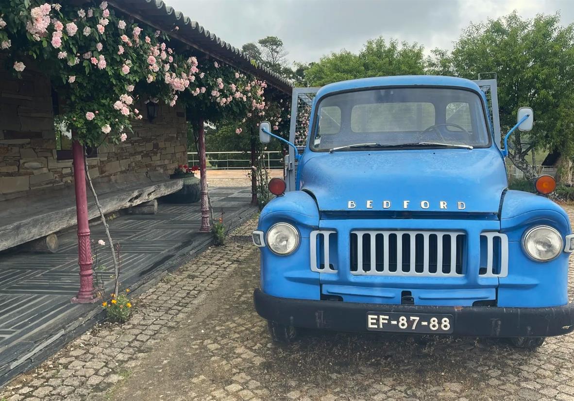 Classic wine estates