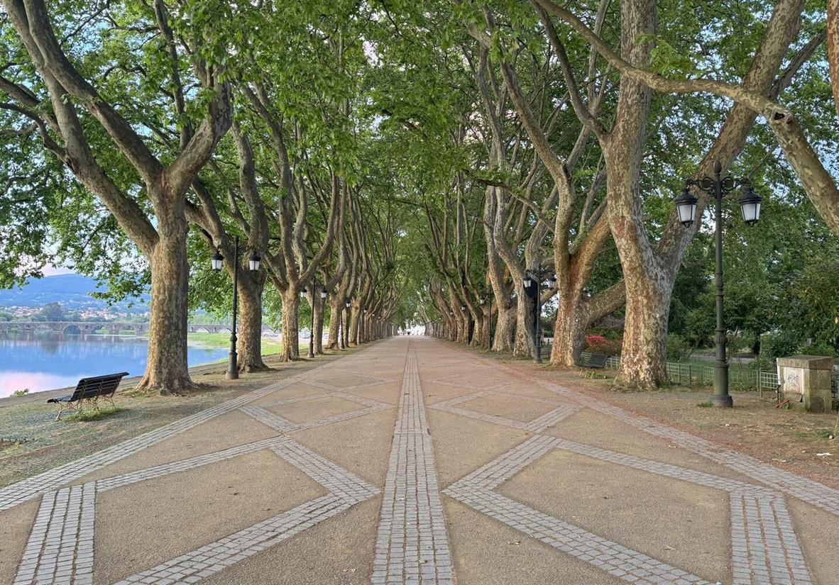 Delightful cycle path