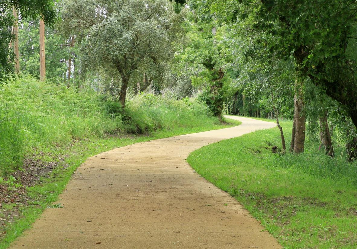 A woodland pedal along the river