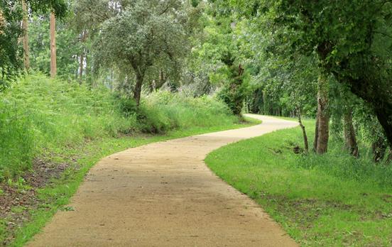 A peaceful woodland pedal