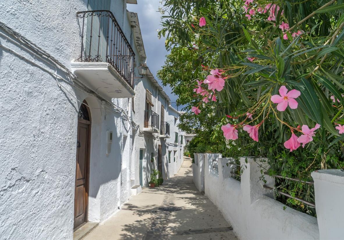 Whitewashed calle.