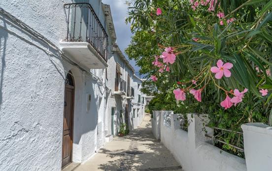 Whitewashed calle.