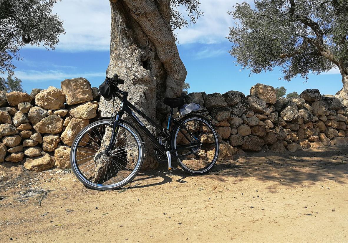A typical bike
