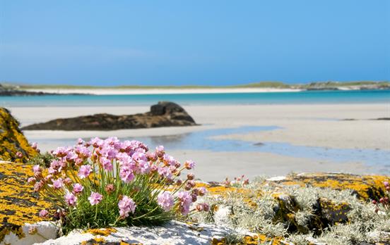 Clifden Beach