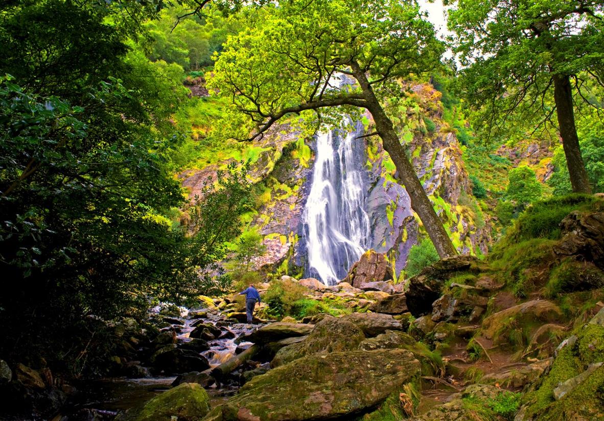 Powerscourt Estate waterfall