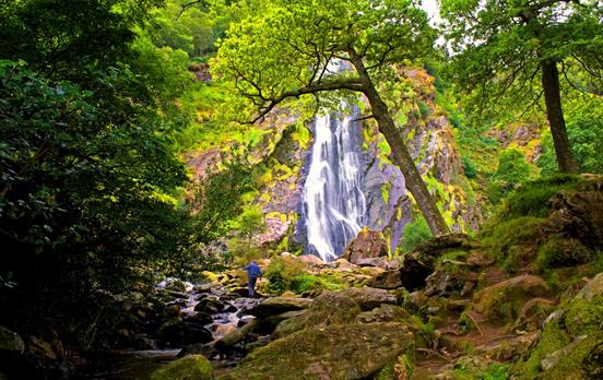 Powerscourt Estate waterfall