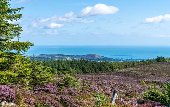 Walking the Wicklow Way