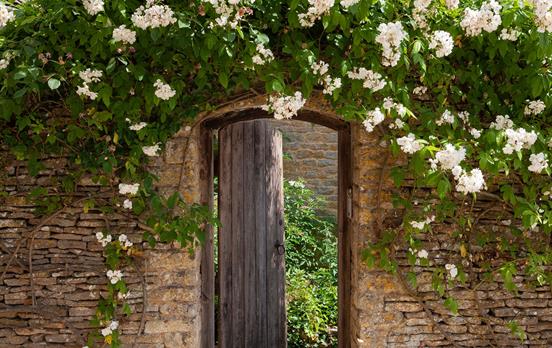Rose covered doorway