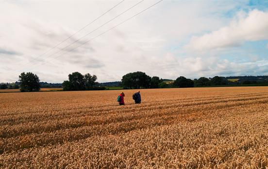 Classic self-guided walking in the Cotswolds
