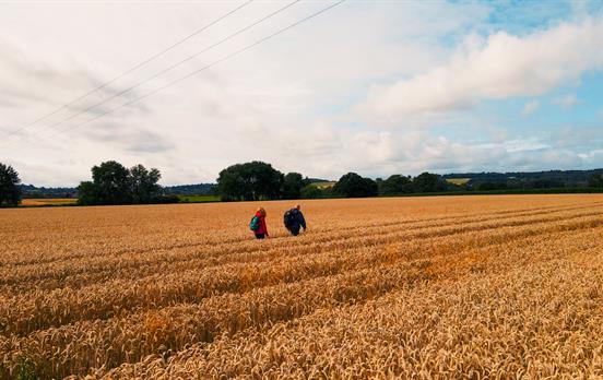 Classic self-guided walking in the Cotswolds
