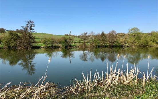 Banks of the Thames at Pangbourne