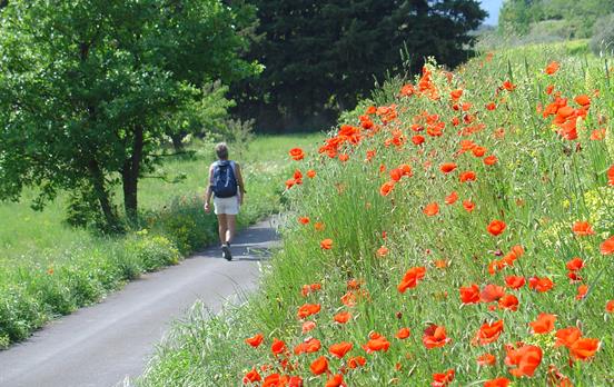 Walking in the Provence