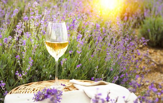 Wine and lavender