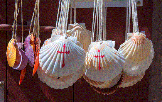 Pained Camino Shells