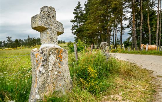A stone cross on the side of the road, Aubrac