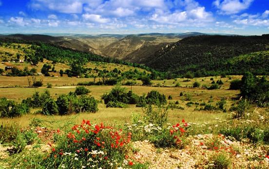 Limestone plateau of the Quercy Blanc