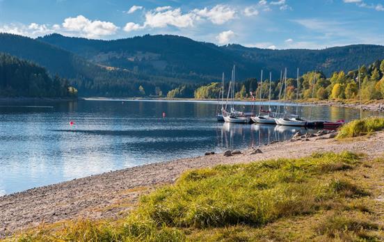 Unwind after a morning of fresh air and exercise