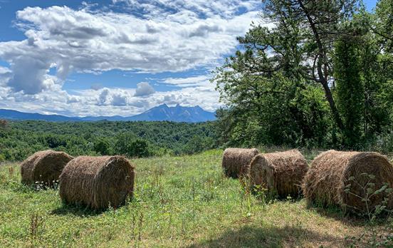 Lunigiana & The Apuane Alps
