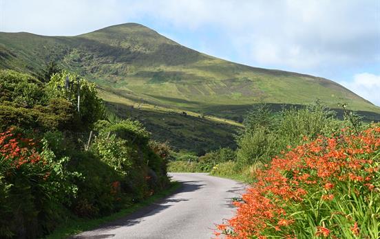 Quiet country roads with great views