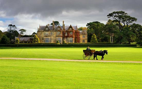 Kutsche am Muckross House